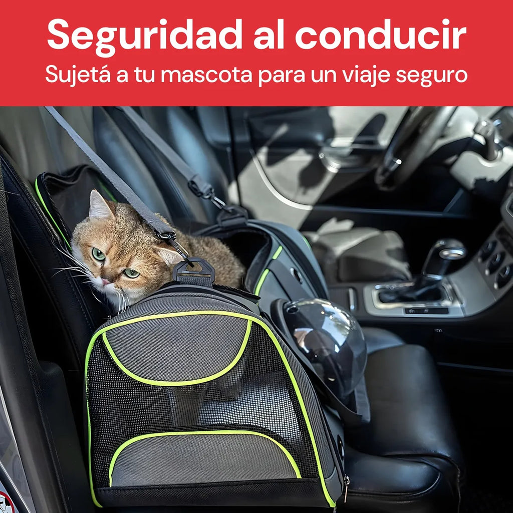 Bolso Transportador Mascotas Visor Rígido Mochila Gato Perro