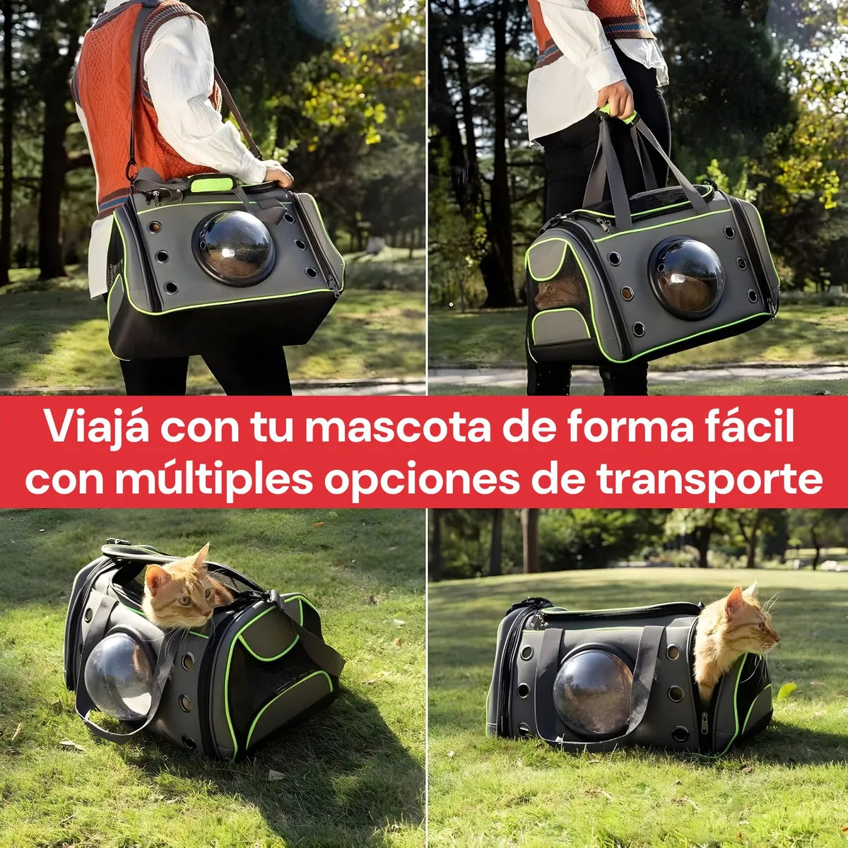 Bolso Transportador Mascotas Visor Rígido Mochila Gato Perro