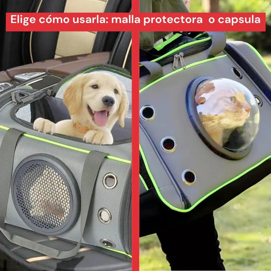 Bolso Transportador Mascotas Visor Rígido Mochila Gato Perro