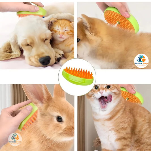 Cepillo De Vapor Para Gatos 3 En 1 Autolimpiante Masajeador Color Verde