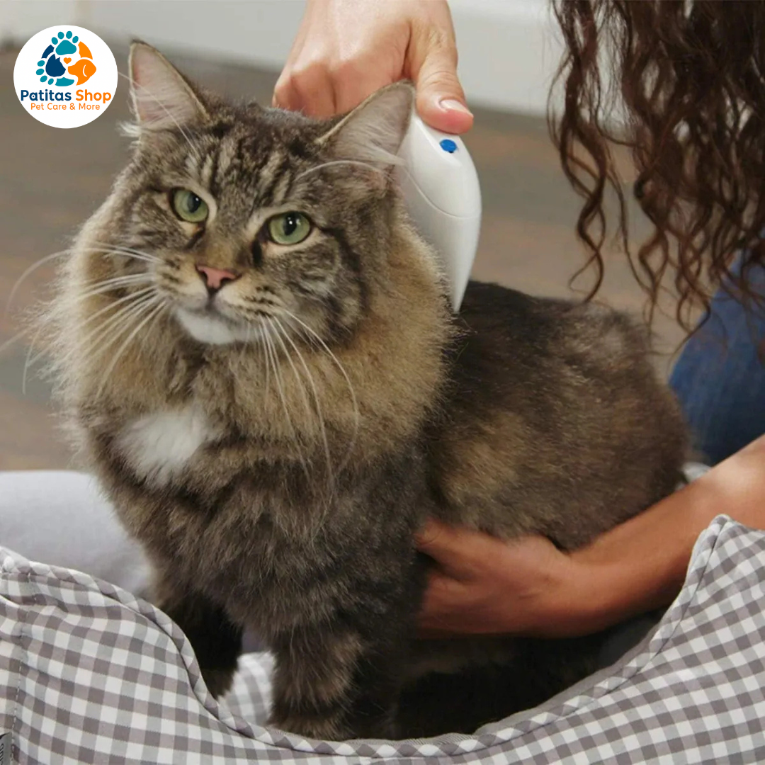 Cepillo Relax Silicona + Peine Quita Pelo Pulgas Electrónico Color Azul Marino