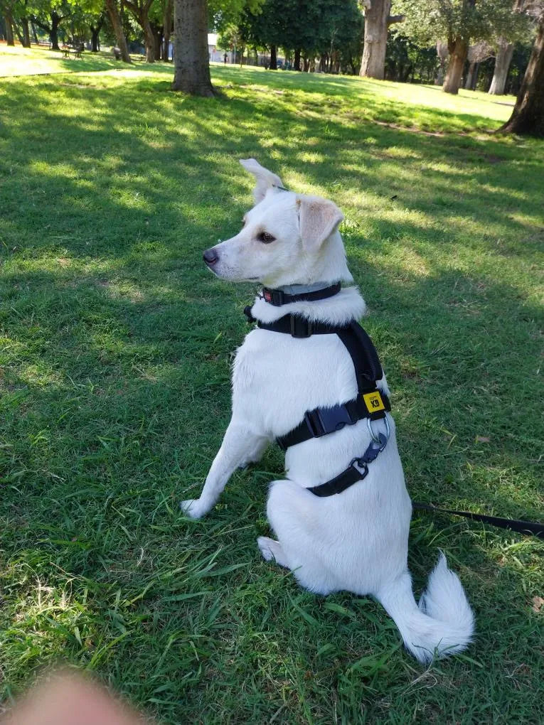 Arnés Pretal H Táctico Reforzado Anti Tirones Seguridad K9